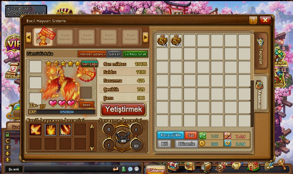 Kokotank oyun ekrani